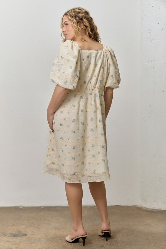 Soft Elegance Dress