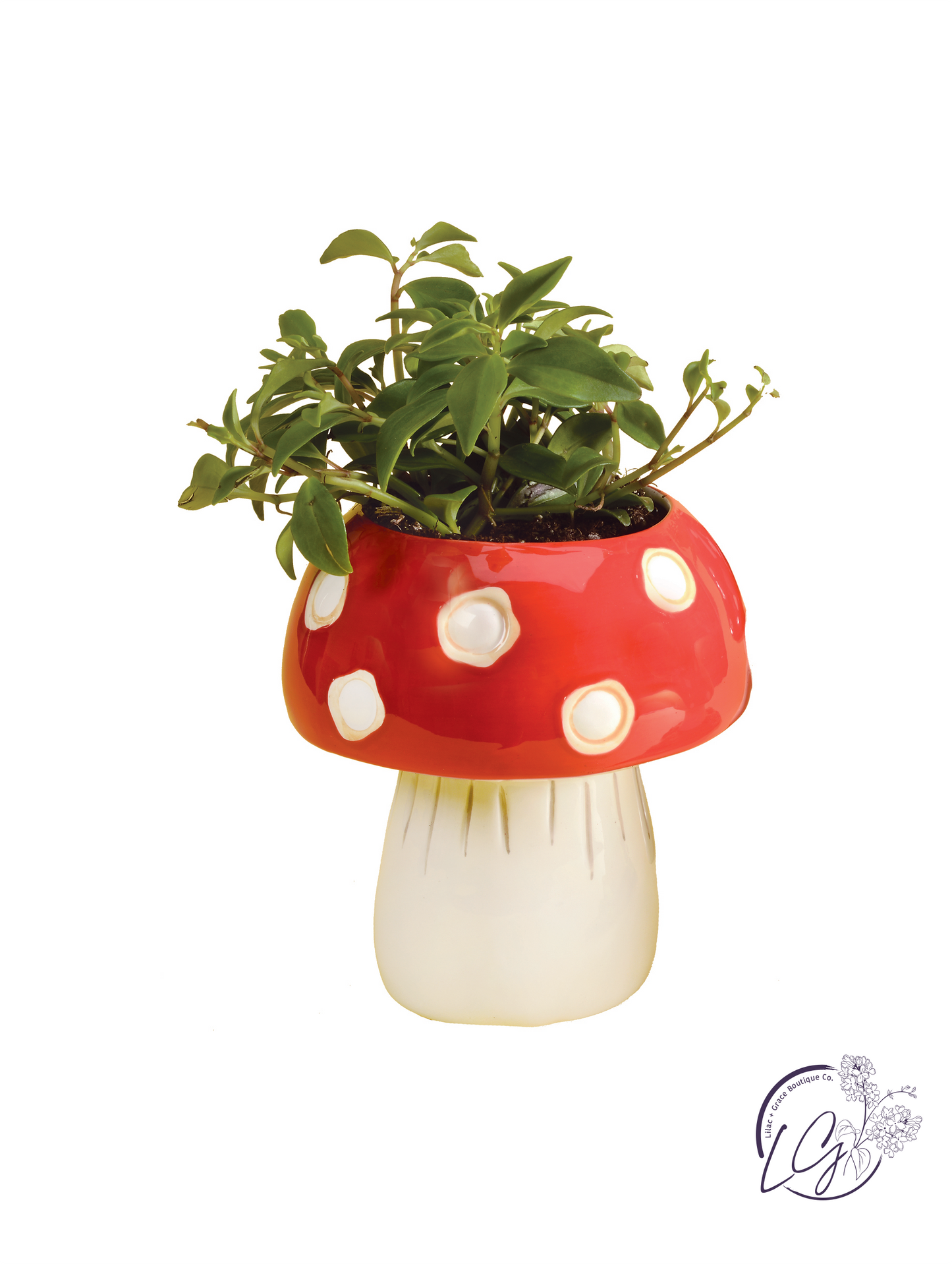 Mushroom Planter - Medium