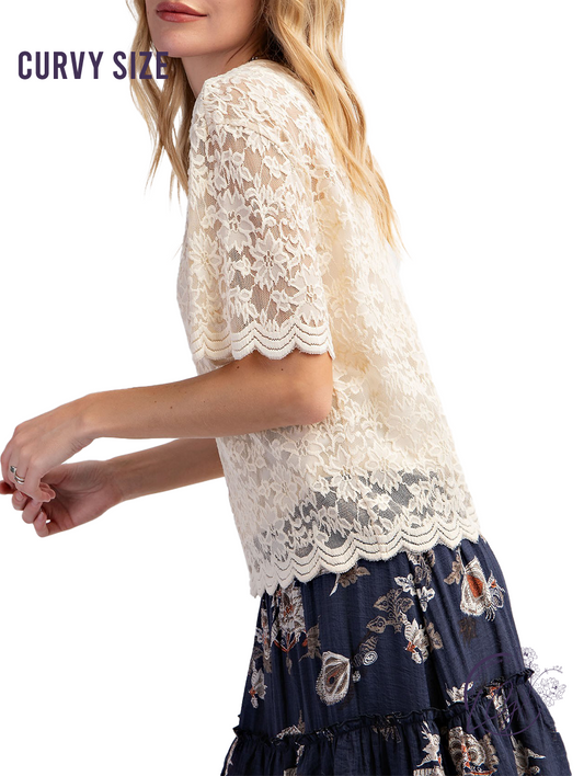 Curvy Flirty Lace Sleeve Top