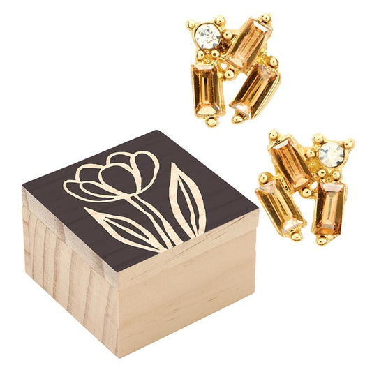 Treasure Box Earrings - Golden Shadow