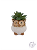 Stoneware Owl Whitewashed Succulent Planters