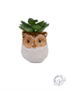 Stoneware Owl Whitewashed Succulent Planters