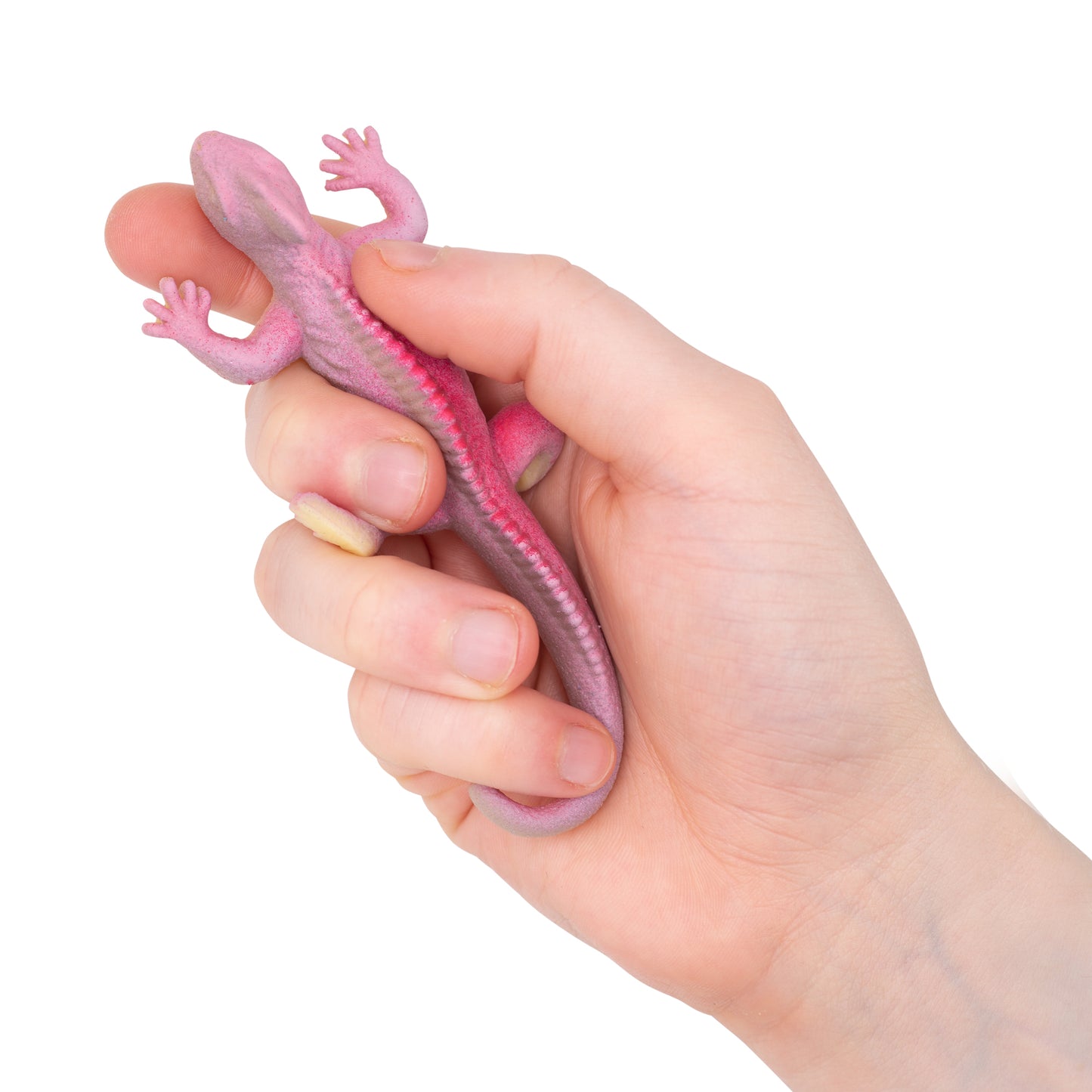Mini Color Changing Lizards
