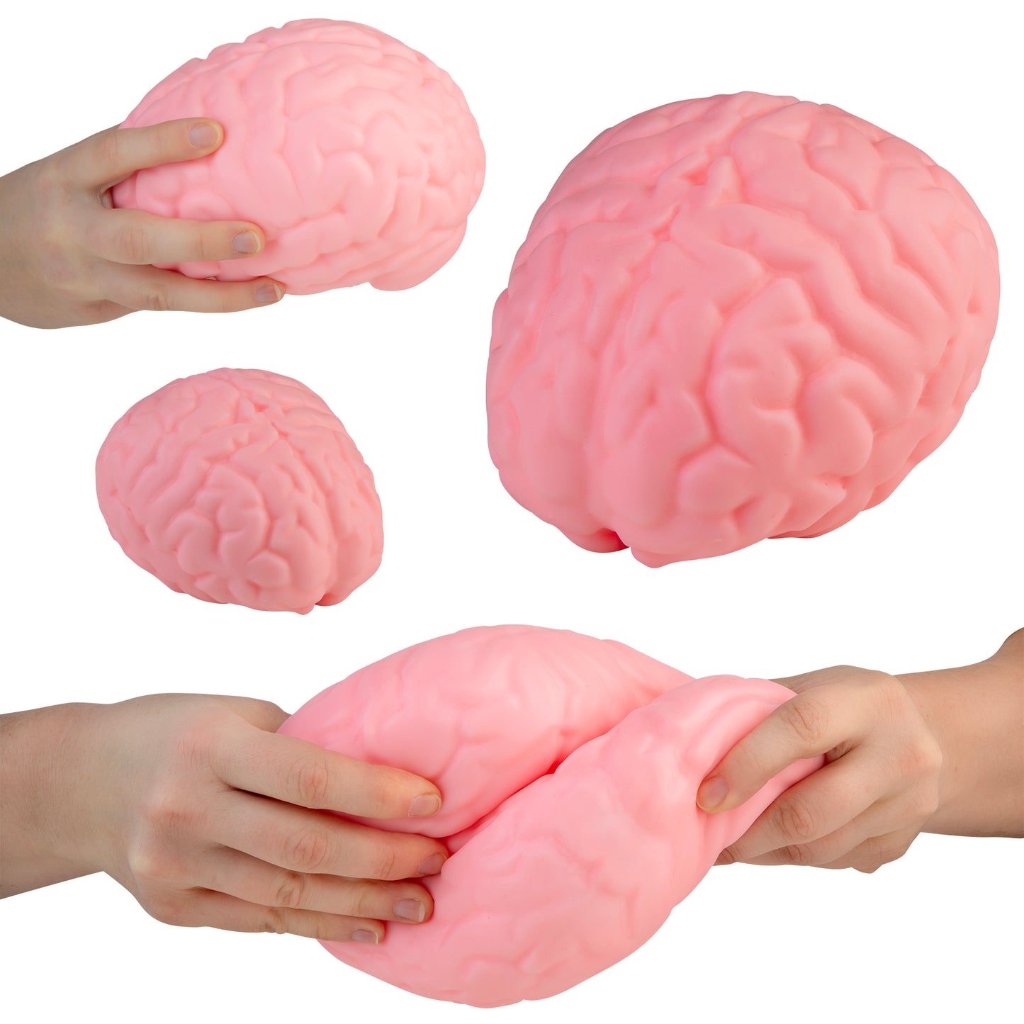 Easy Sqweezy Jumbo Brainy Squishy
