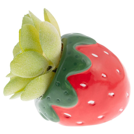 Strawberry Shaped Succulent Pot