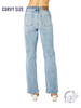 Curvy Karina Light Wash Straight Leg Jeans by Judy Blue