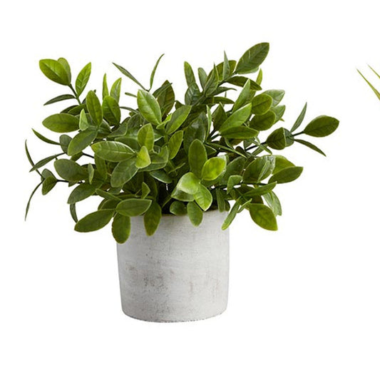 Artificial Plants - Cement Pot - Bush