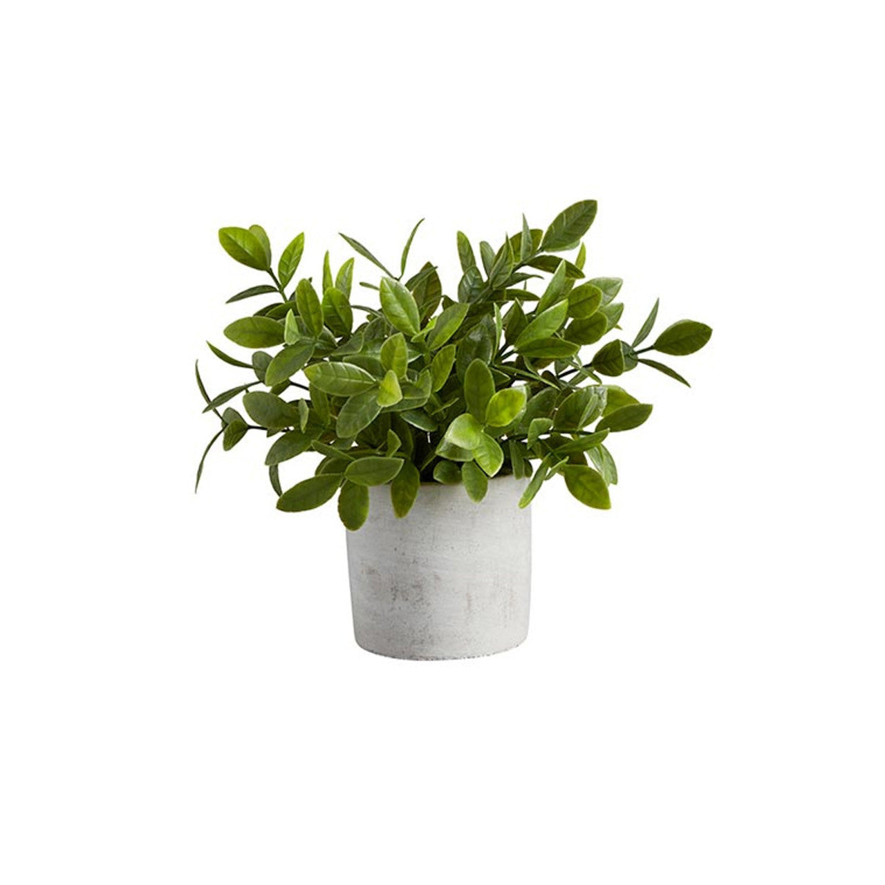 Artificial Plants - Cement Pot - Bush
