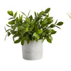 Artificial Plants - Cement Pot - Bush