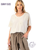 Curvy Rust and Reverie Top