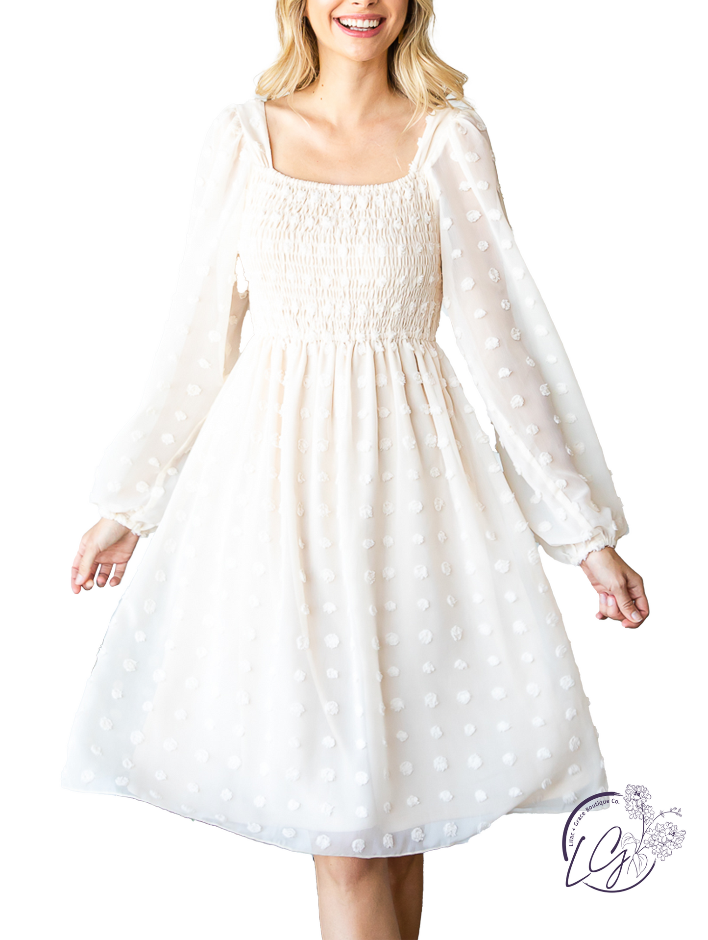 Alpine Breeze Swiss Dot Chiffon Dress