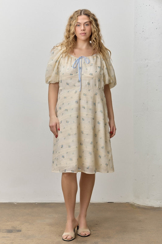 Soft Elegance Dress
