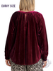 Curvy Feeling Festive Velvet Top