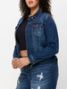 Curvy Alex Regular Fitted Denim Jacket by Cello Jeans