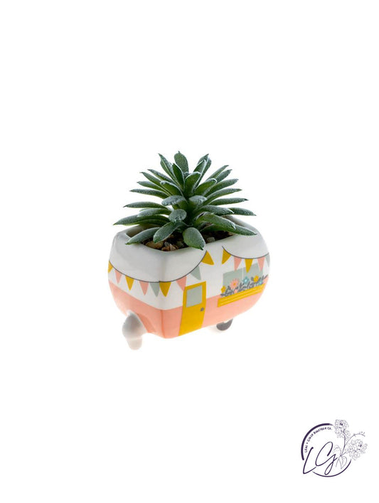 Shaped Succulent Pots